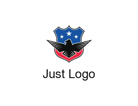 eagle over a badge with the American flag pattern