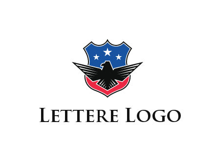 eagle over a badge with the American flag pattern