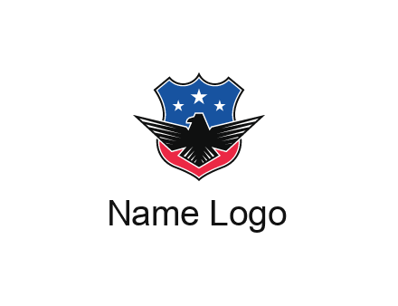 eagle over a badge with the American flag pattern