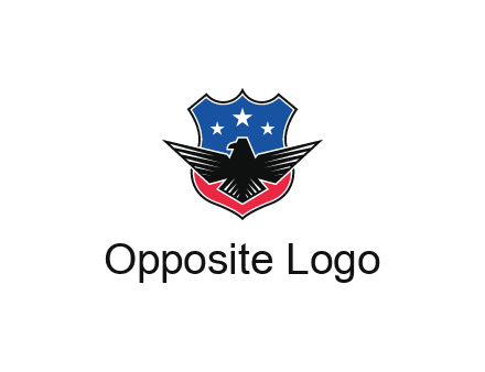 eagle over a badge with the American flag pattern