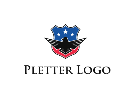 eagle over a badge with the American flag pattern
