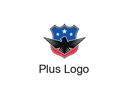 eagle over a badge with the American flag pattern