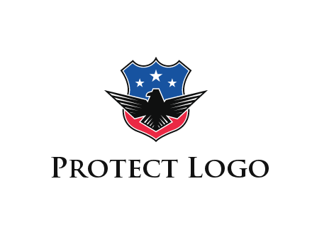 eagle over a badge with the American flag pattern