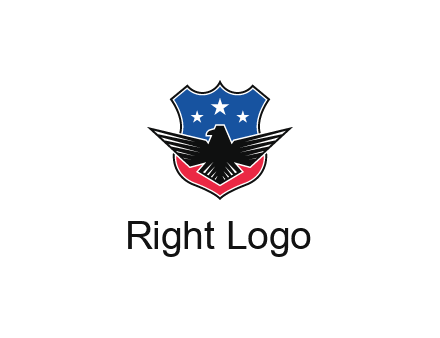 eagle over a badge with the American flag pattern