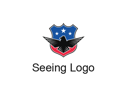 eagle over a badge with the American flag pattern