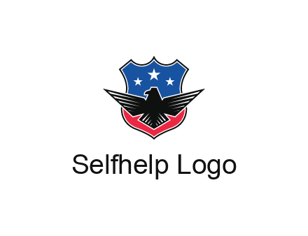eagle over a badge with the American flag pattern