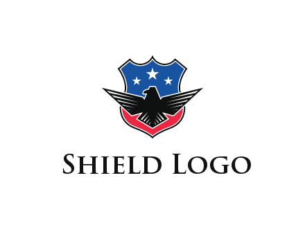 eagle over a badge with the American flag pattern