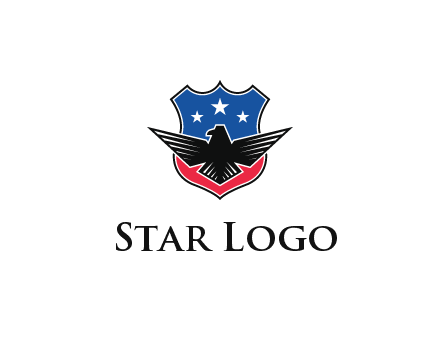 eagle over a badge with the American flag pattern
