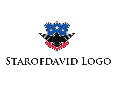 eagle over a badge with the American flag pattern
