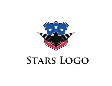 eagle over a badge with the American flag pattern