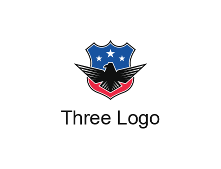 eagle over a badge with the American flag pattern