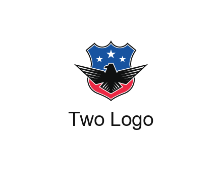 eagle over a badge with the American flag pattern