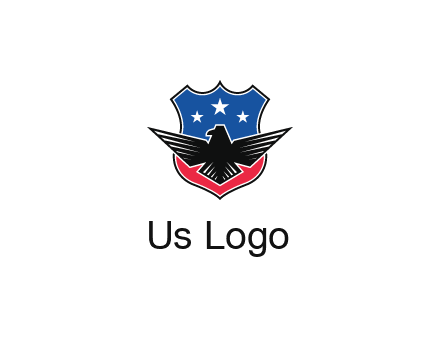 eagle over a badge with the American flag pattern