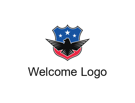 eagle over a badge with the American flag pattern