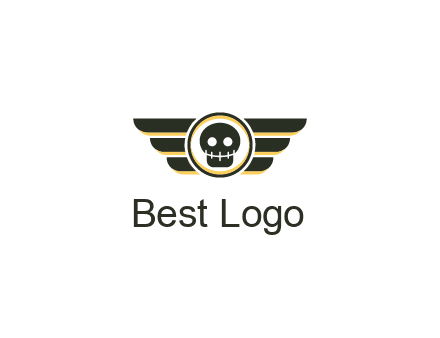 pilot badge with a skull logo