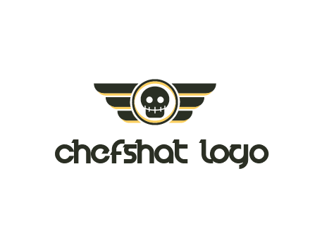 pilot badge with a skull logo