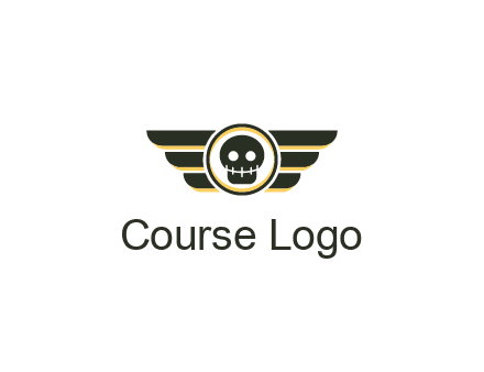 pilot badge with a skull logo