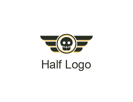 pilot badge with a skull logo