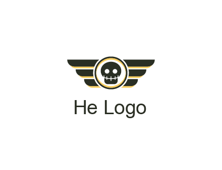 pilot badge with a skull logo