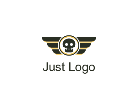 pilot badge with a skull logo