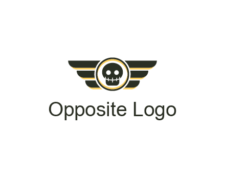pilot badge with a skull logo