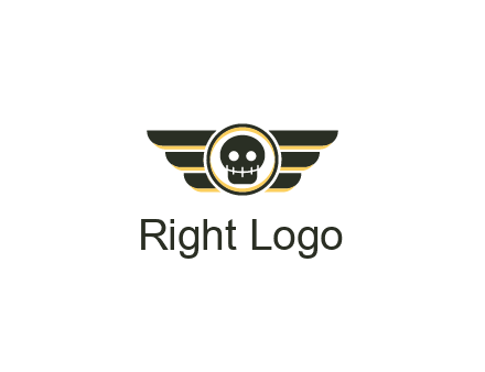 pilot badge with a skull logo
