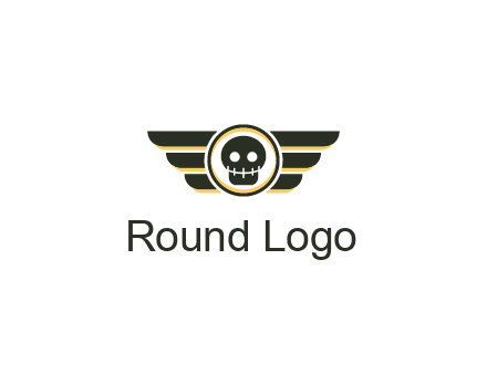 pilot badge with a skull logo
