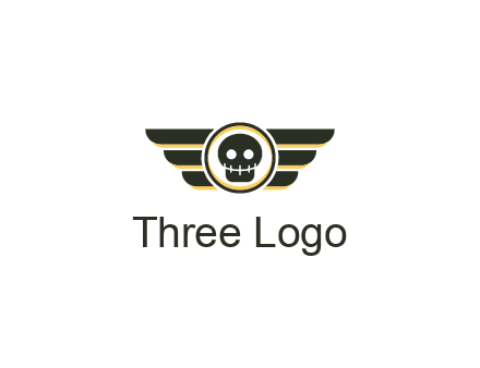 pilot badge with a skull logo