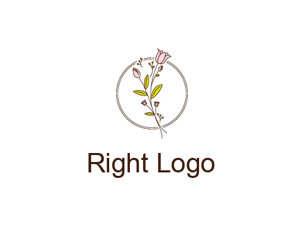 simple spa logo with flowers and buds growing on a stem