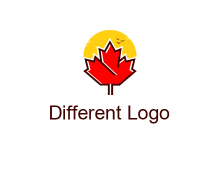 maple leaf covering the sunset logo
