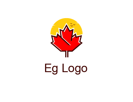 maple leaf covering the sunset logo