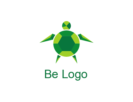 gems and jewels placed in the shape of a turtle