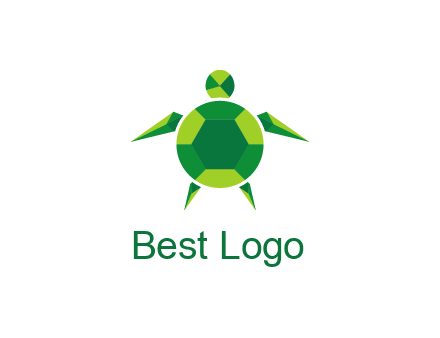 gems and jewels placed in the shape of a turtle