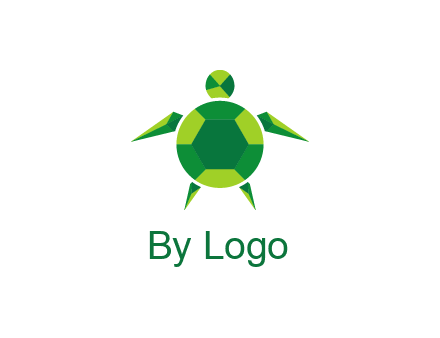 gems and jewels placed in the shape of a turtle