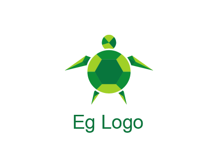 gems and jewels placed in the shape of a turtle