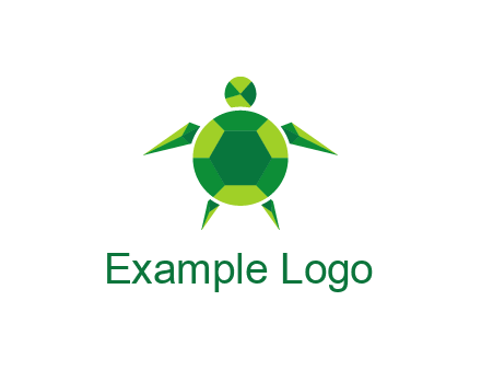 gems and jewels placed in the shape of a turtle