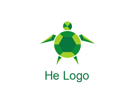 gems and jewels placed in the shape of a turtle