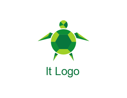 gems and jewels placed in the shape of a turtle
