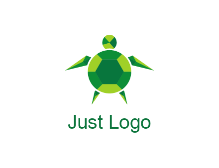 gems and jewels placed in the shape of a turtle