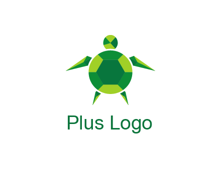 gems and jewels placed in the shape of a turtle