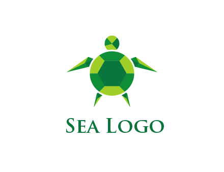 gems and jewels placed in the shape of a turtle