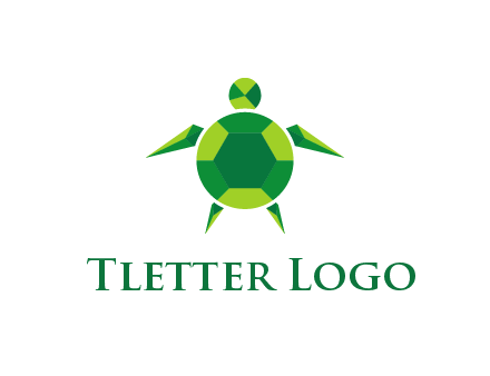 gems and jewels placed in the shape of a turtle