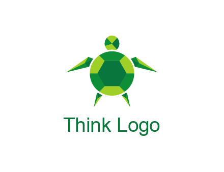 gems and jewels placed in the shape of a turtle