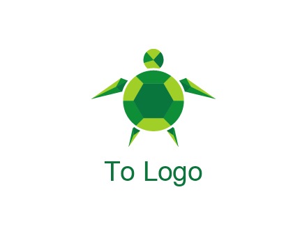 gems and jewels placed in the shape of a turtle