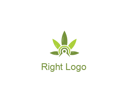 elaborate leaves decor logo