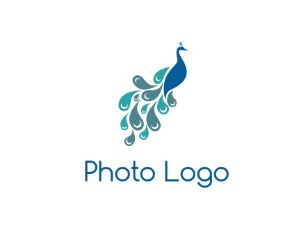 Indian peacock logo