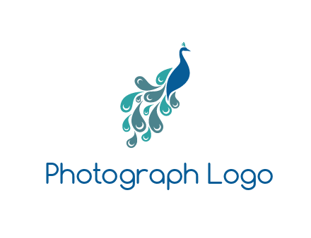 Indian peacock logo