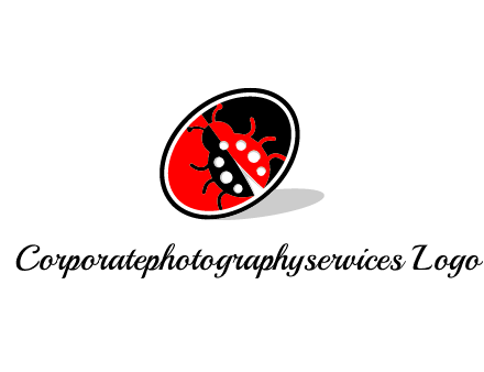 ladybug in oval logo