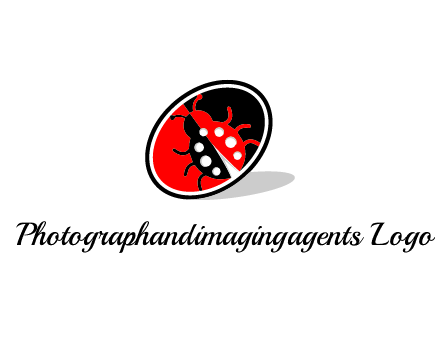 ladybug in oval logo