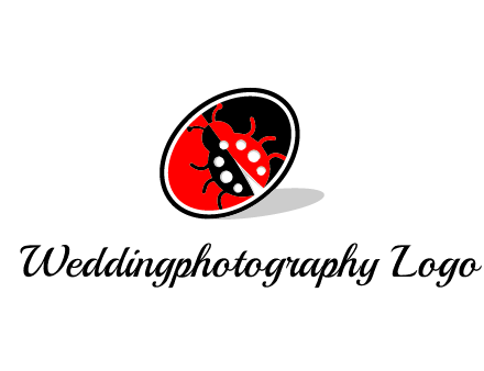 ladybug in oval logo